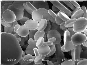 Polvo de alúmina plaquetaria como relleno para pulverización de plasma  -2-